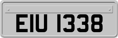 EIU1338