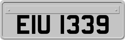 EIU1339
