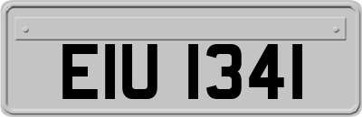 EIU1341