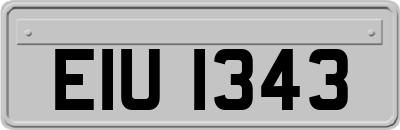 EIU1343