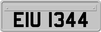 EIU1344