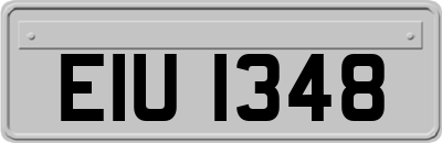 EIU1348