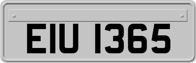 EIU1365