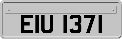 EIU1371
