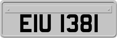 EIU1381