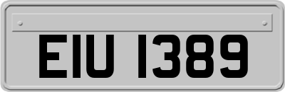 EIU1389