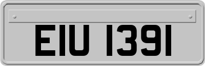EIU1391