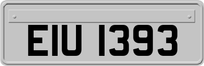EIU1393