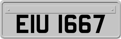 EIU1667
