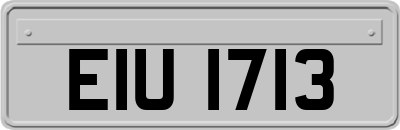 EIU1713