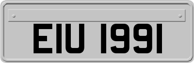 EIU1991