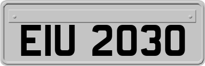 EIU2030