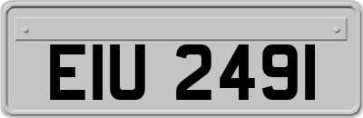EIU2491