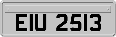 EIU2513