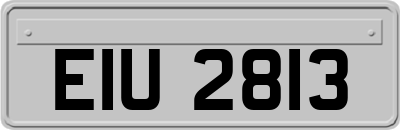 EIU2813