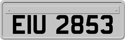 EIU2853