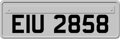 EIU2858