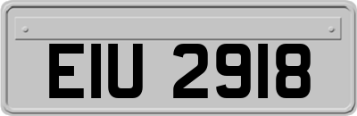 EIU2918