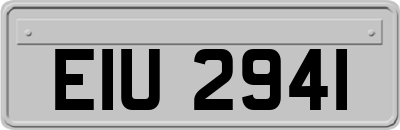 EIU2941