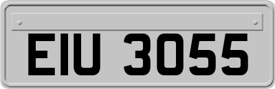 EIU3055