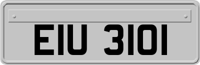 EIU3101