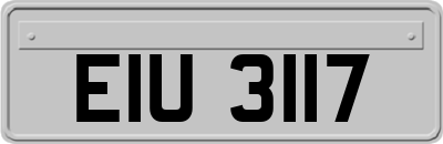 EIU3117
