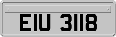 EIU3118