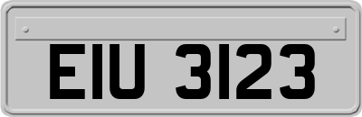 EIU3123