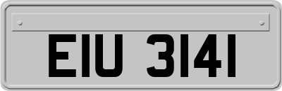 EIU3141