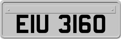 EIU3160