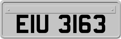 EIU3163