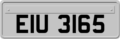 EIU3165