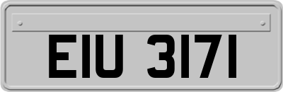 EIU3171
