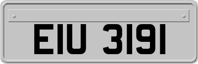 EIU3191