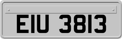 EIU3813