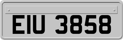 EIU3858