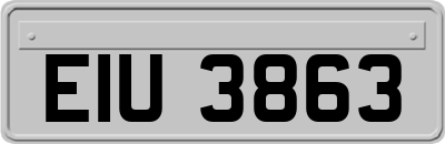 EIU3863