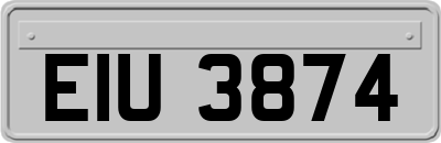 EIU3874