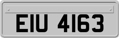 EIU4163
