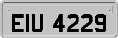 EIU4229