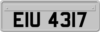 EIU4317