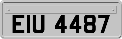 EIU4487