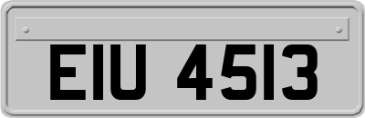 EIU4513