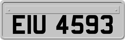EIU4593