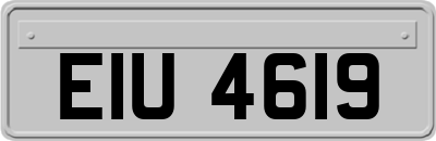 EIU4619