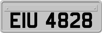 EIU4828