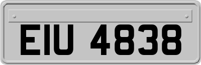 EIU4838