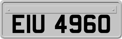 EIU4960