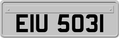 EIU5031