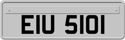 EIU5101